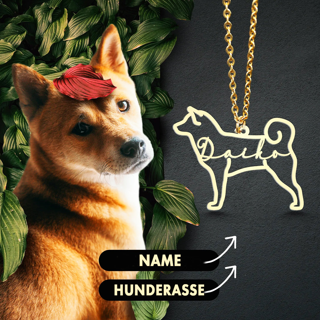 Halsband med personligt hundnamn och hundras