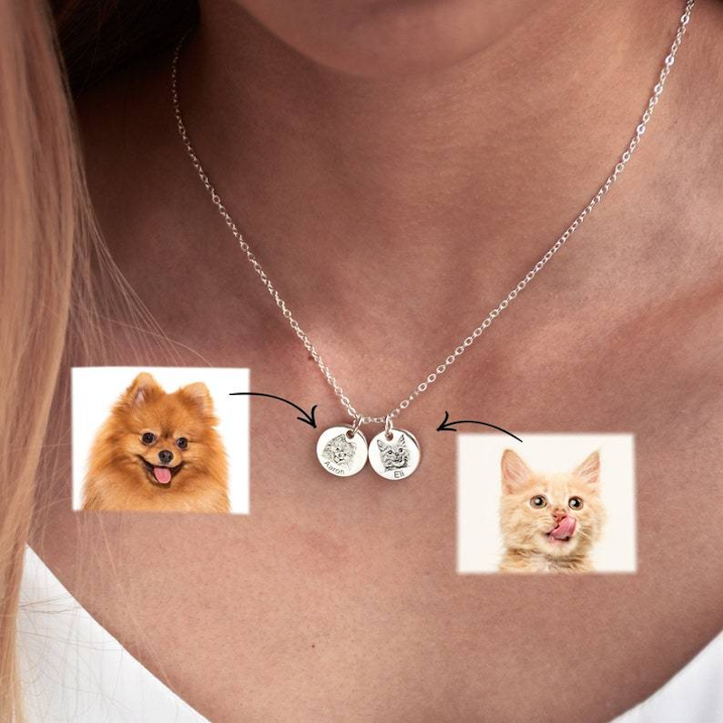 Halsband för husdjur